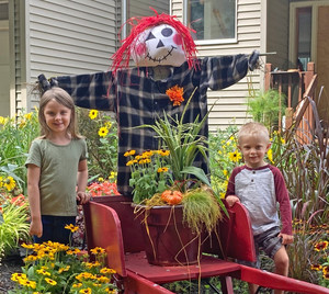 Scarecrows for Solutions - 2026~